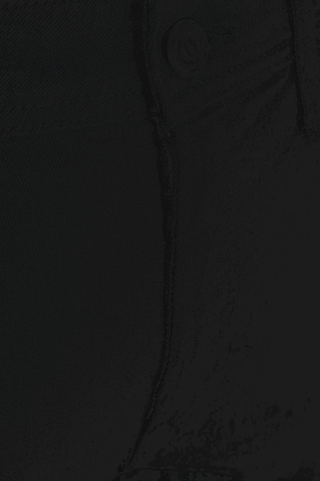 The Original Performance Jeans (Regular) - Denim noir